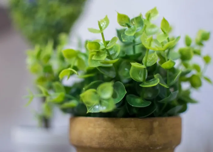 Avra Comfort Appartement